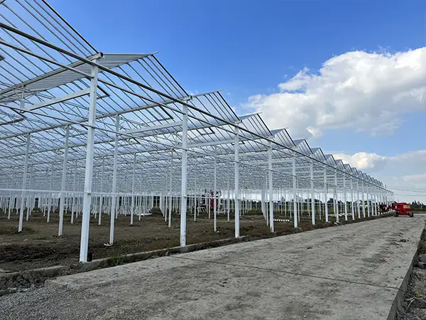 Hovedårsagen til princippet om glas drivhus