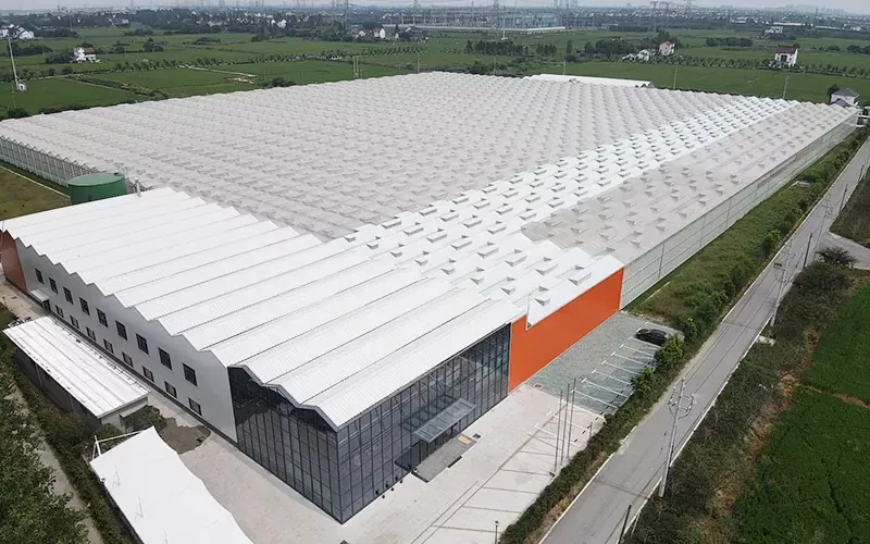 Fordele ved multispan glas drivhus