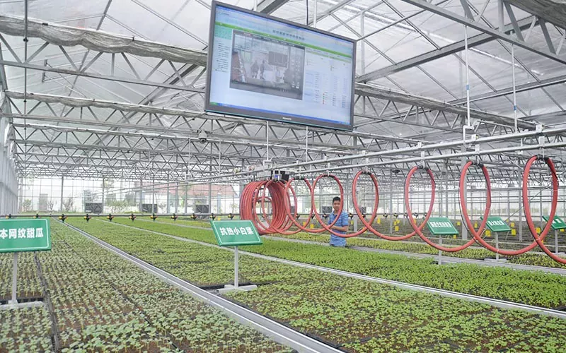 Hvordan kan jeg bruge Greenhouse Irrigation System Mobile Sprinkler?