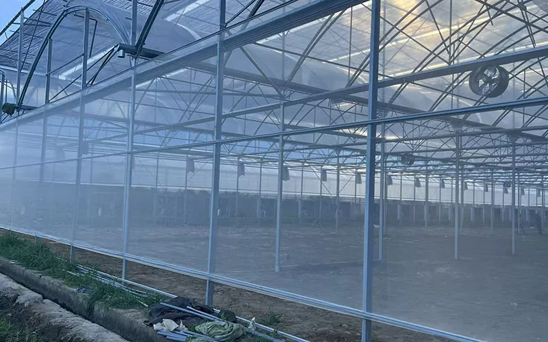 Greenhouse Insect Net fører en ny tendens inden for skadedyrsbekæmpelse
