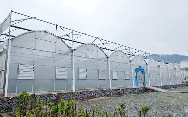 Den teknologiske transformation af plastiske drivhuse: det hemmelige våben til fordobling af udbytter